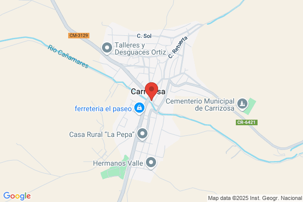 Pizzeria Burguer Picos