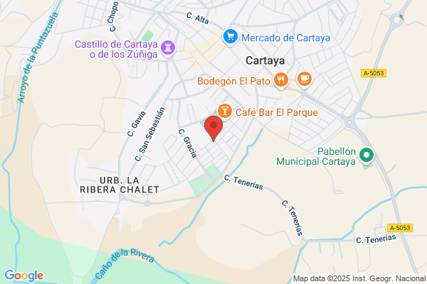 ENCARNACION VERAGUA MARTINEZ