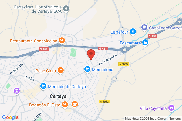 Talleres De Reparacion Car-Auto S. L. - mecanica en general
