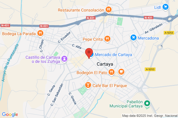 Burgos Flores j.