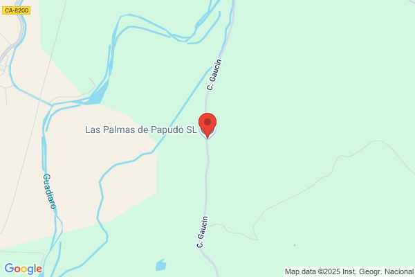 Las Palmas Del Papudo S.L.