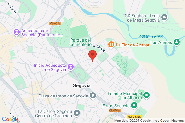 Salmeron Segovia j.