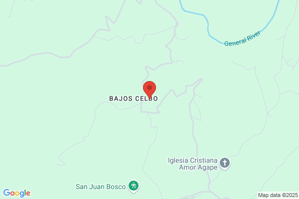 Rpc De La Ribera S.A.