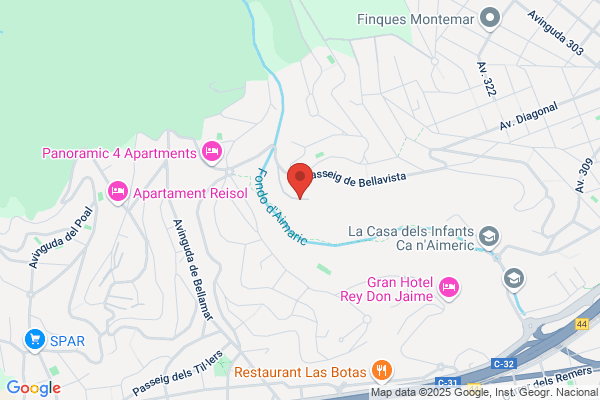 Pons m.