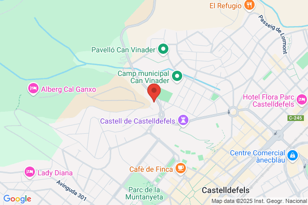 Centro De Promocion Economica Y Servicios A las E