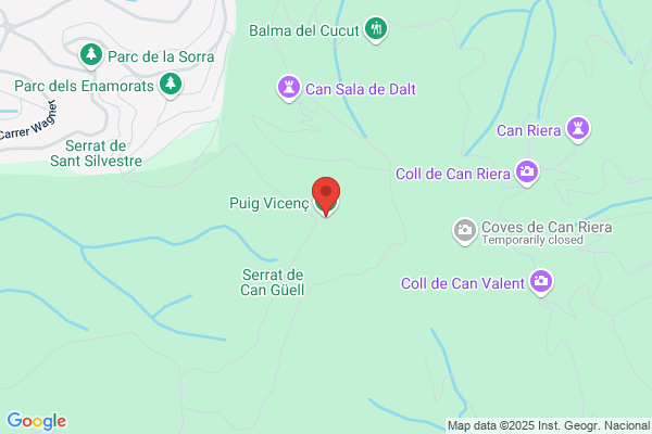 Vicenc Puig Vila