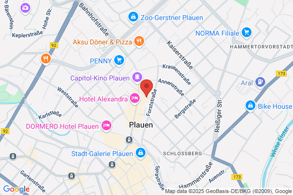Pizzeria Italia Salins