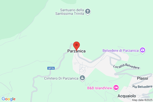 Paracerámica