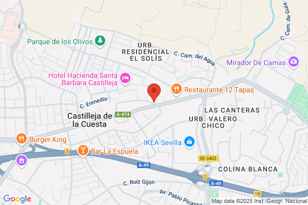 Lourdes Borrego Gamez