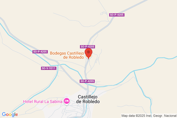 Bodegas Castillejo De Robledo