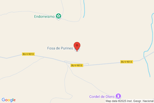 Ganado Vacuno De Leche Frisona Selecto.Cogatra