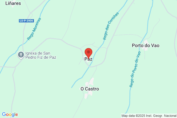 Purriños Paz v.
