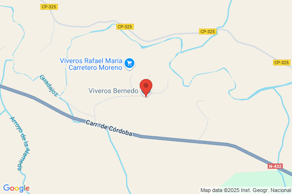 Viveros de Olivo Bernedo