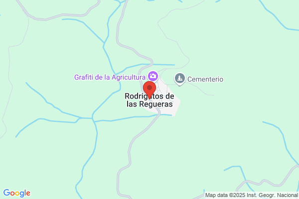Antracitas De Rodrigatos S.L.