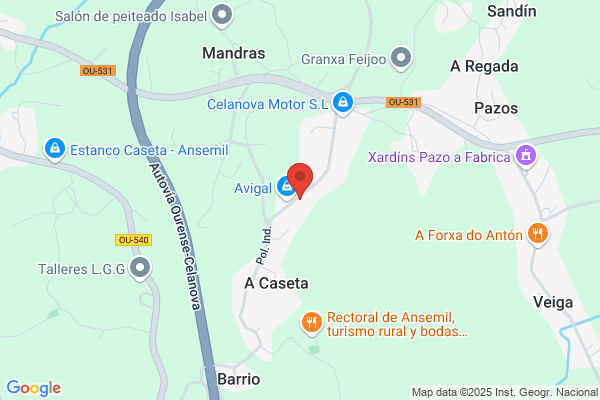 Autoreparaciones San Rosendo