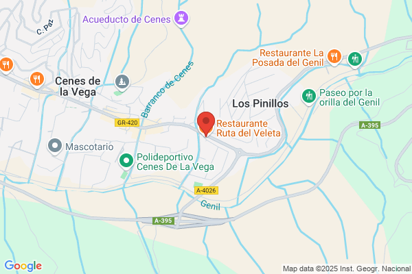 Restaurante Ruta Del Veleta S. L.