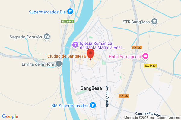 Bou Sanguesa j.
