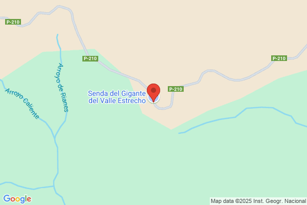 Meson Valle Estrecho