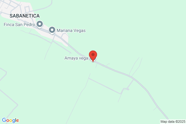 Vega Amaya A.