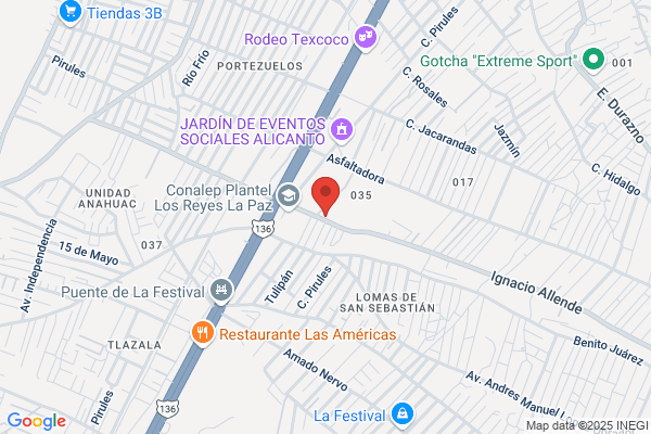 Hermanos Mendoza S. A.