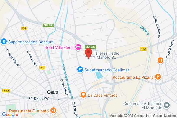 Talleres Pedro Y Manolo S.L.