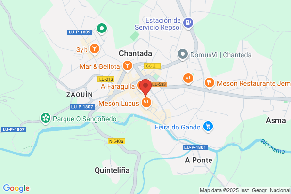 Rodriguez Brage, Esperanza Procuradora