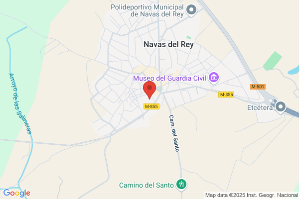 Ayuntamiento De Navas Del Rey - Centralita
