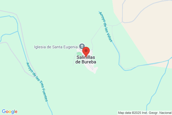 Salinilla S.L.