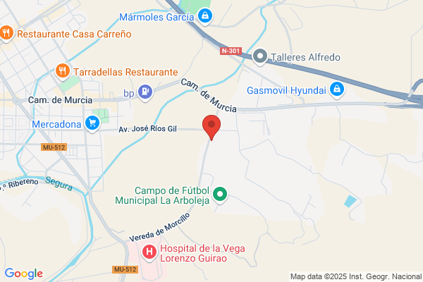 Servicio Y Gestion Funeraria S.A.