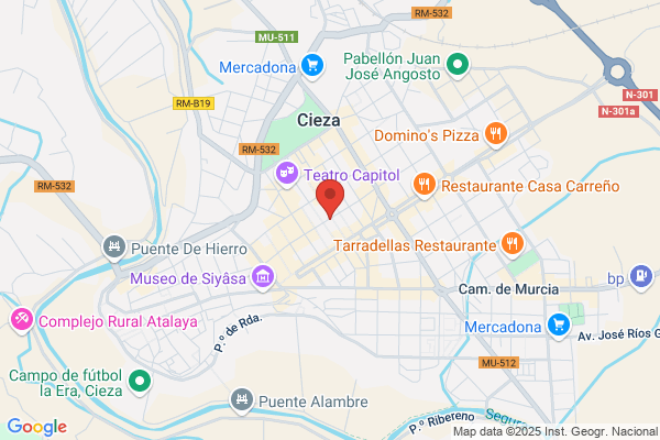 Asesores Servicios Hermanos Saorin S.L.