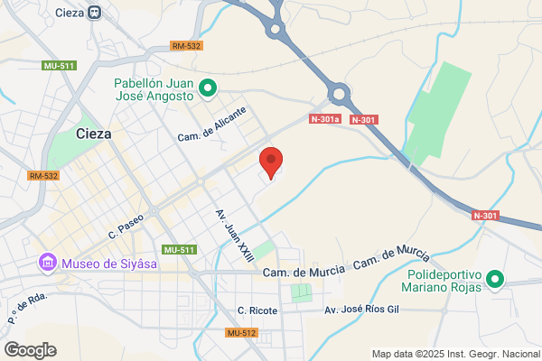Instituto Nacional De La Salud