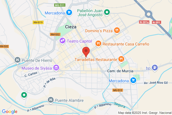 TECNICA INDUSTRIAL