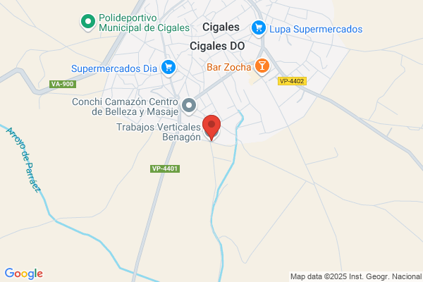 Trabajos Verticales Benagón