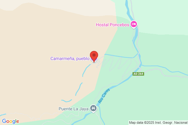 Electra De Viesgo S.A.