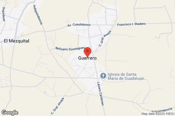 Guerrero Hidalgo f.