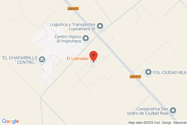 Labrador Palomares j. R.