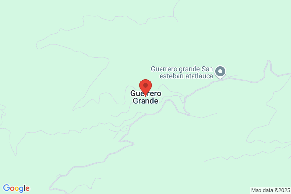 Guerrero Grande j.