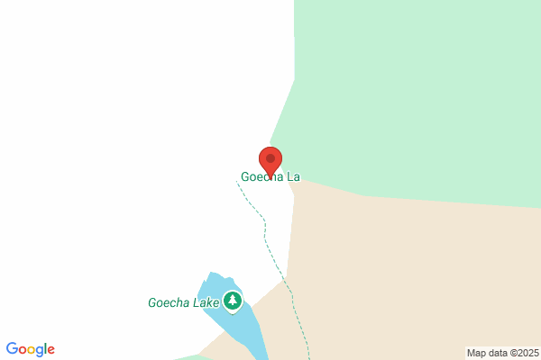 Goñecha S.L.