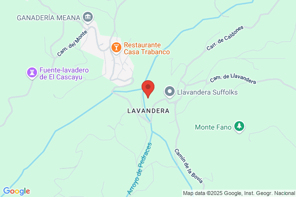 La Nueva Lavandería Constanza