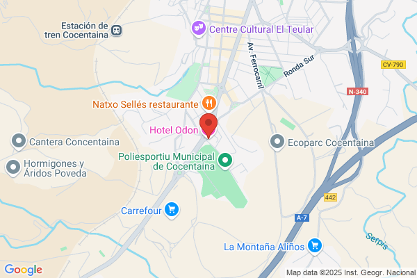 Hotel Odon S. L.