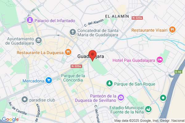 Fuente Guitar i. De La