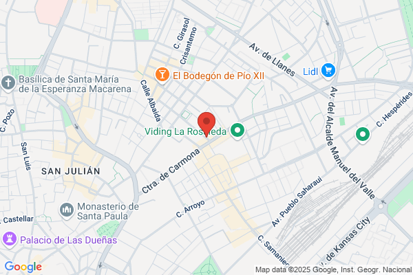 Endesa Servicios S.L. Sociedad Unipersonal