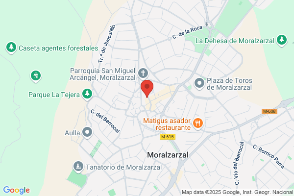 Método de Meditación Danza Esencial