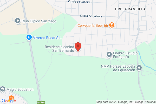 Residencia Canina San Bernardo