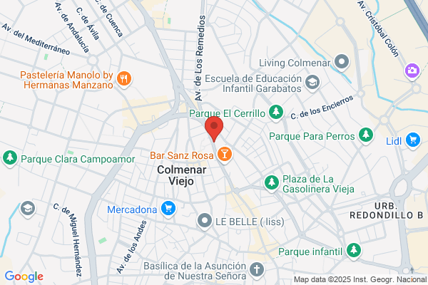 Fernandez-Capalleja Palomero p.