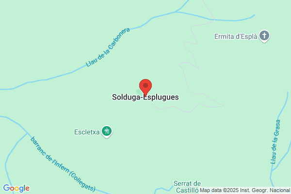 Solduga Camarero f. J.