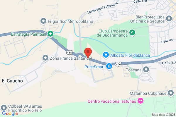 Cooperativa De Transportes Del Sur Cotrasur