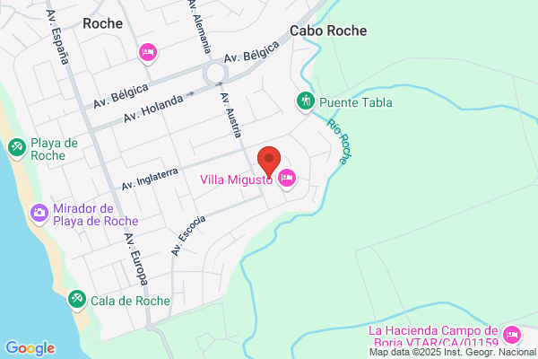 viveRoche