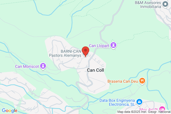 BARNI-CAN Pastors Alemanys