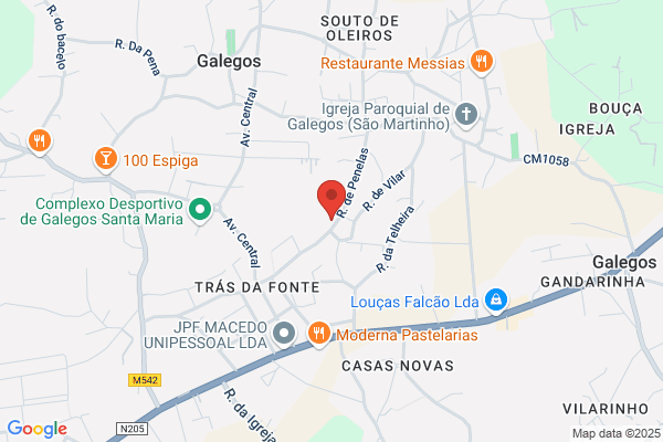 Centro De Estudios Lingua E Empresa